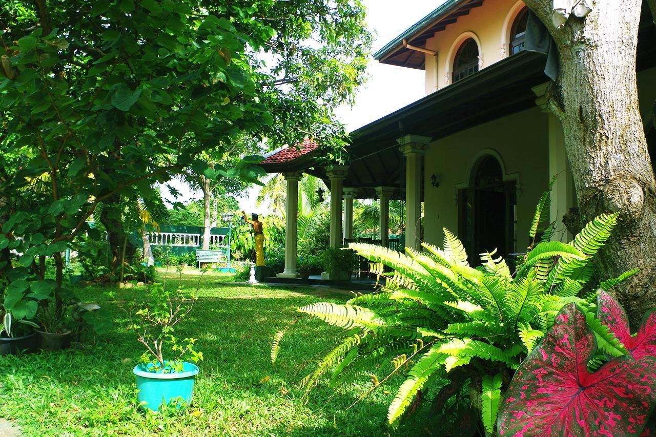 Villa Eco Green Negombo Eksteriør billede