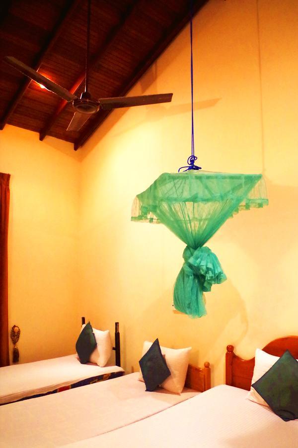 Villa Eco Green Negombo Eksteriør billede
