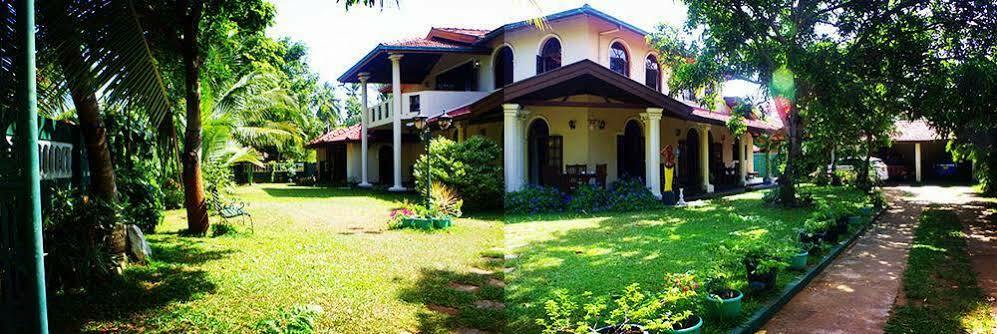 Villa Eco Green Negombo Eksteriør billede